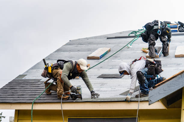 Professional Gutter Installation technician working in Etoile, KY